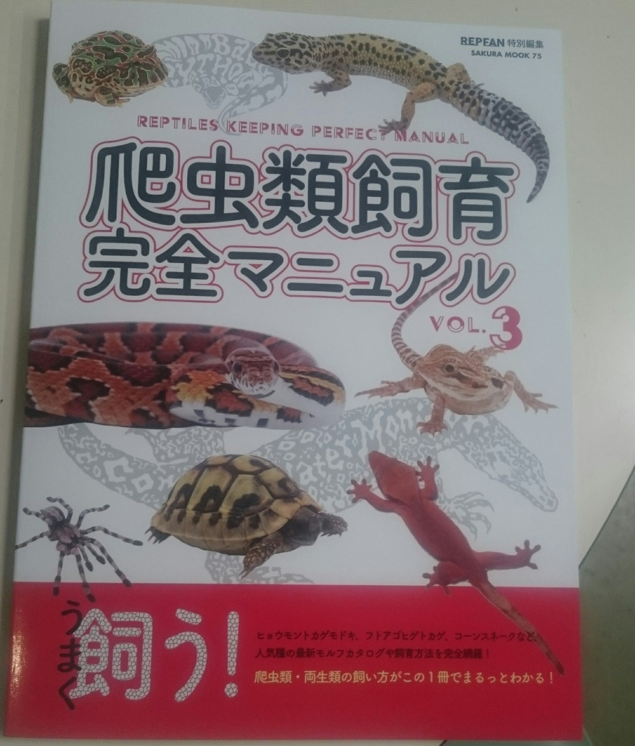 入荷情報 Csmアクア 古代魚 両生類 爬虫類 水槽 飼育用品 の販売通販