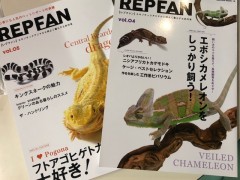 レプファン