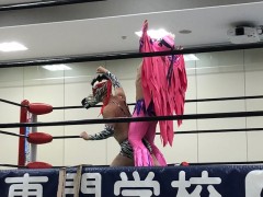 プロレス３