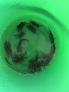 釣り3