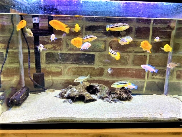 329e71bad14ef6fe574647b54e94f5